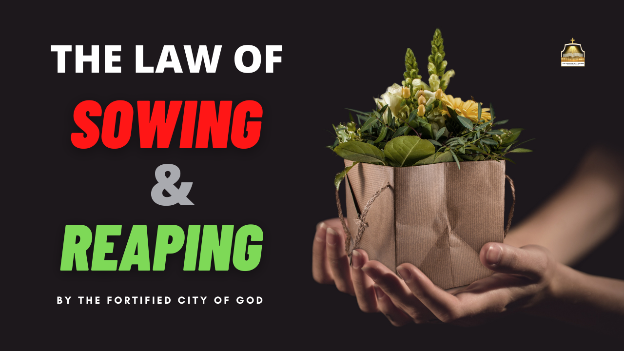 Law Of Sowing And Reaping