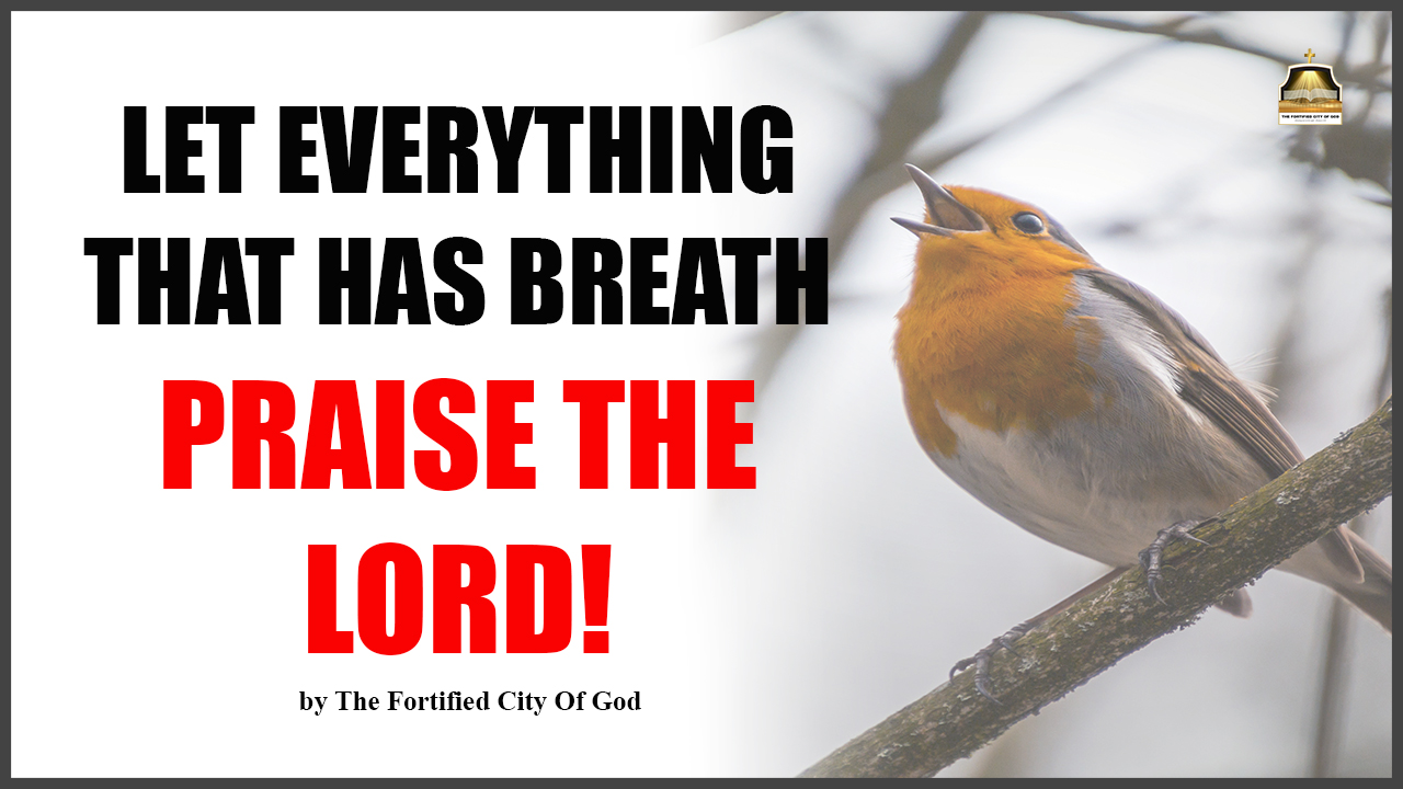 Let Everything that has breath praise the Lord