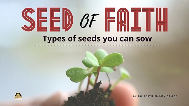 Seed of Faith